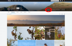 Screenshot 2021-09-28 at 15-20-31 jakeblu.png