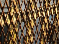 Garden Fencing SL300 DSCF3330.JPG