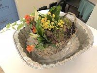 Indoor planted flower arrangement iPhone 8 IMG_0356.JPG