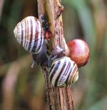 DSCF1484.jpg DSCF1484.jpg