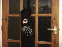 Eye whiskers and glazed door F55E DSC00002.JPG Eye whiskers and glazed door F55E DSC00002.JPG