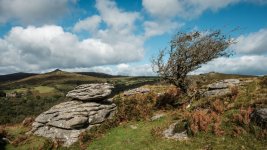 021 Bench Tor 10-5897 PS Adj.JPG 021 Bench Tor 10-5897 PS Adj.JPG