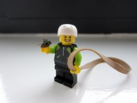 Dead Fly.jpg Dead Fly.jpg