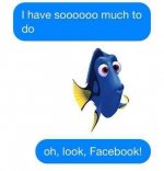 Facebook_sooo much to do.jpg Facebook_sooo much to do.jpg