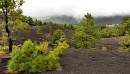 Cumbre Nueva  (44).JPG