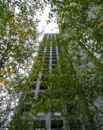 Oct 09-21 (1 of 1)-12.jpg