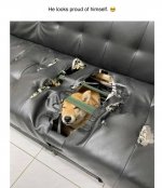 Screen Shot 2021-10-09 at 10.24.08 AM.jpg