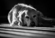 Social Media-1227.jpg