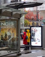 Oct 16-21 (18 of 19).jpg