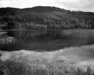 img682-copy-2-tp-v2.jpg img682-copy-2-tp-v2.jpg