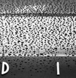 Screenshot 2021-10-18 162515.jpg