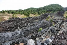 Copy of IMG_2138.JPG