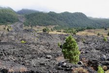 Copy of IMG_2170.JPG