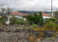 Copy of P1010442.JPG