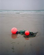 000000490013-copy-tp.jpg 000000490013-copy-tp.jpg