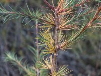 DSCF1662.jpg DSCF1662.jpg