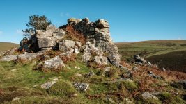 004 Tristis Rock 02-5972 PS Adj.JPG 004 Tristis Rock 02-5972 PS Adj.JPG