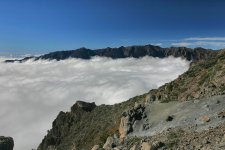 Copy of Copy of IMG_1187.JPG