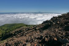 Copy of Copy of IMG_1180.JPG