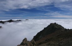 Copy of IMG_1027.JPG