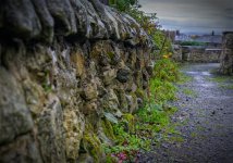 Week 42 - Irregular.jpg