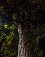 Oct 27-21 (1 of 1)-20.jpg