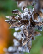 Oct 27-21 (1 of 1)-5.jpg