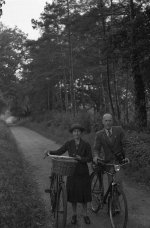 Bovington_006 copy.jpg