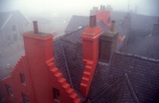 2019-01-12-0051-copy-tp.jpg 2019-01-12-0051-copy-tp.jpg