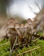 17Nov 05-21 (6 of 7).jpg