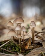 Nov 05-21 (3 of 7).jpg