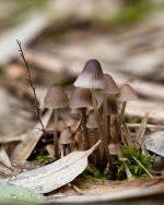 Nov 05-21 (4 of 7).jpg