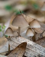 Nov 05-21 (7 of 7).jpg