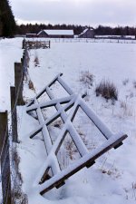 1636370762518.jpeg 1636370762518.jpeg