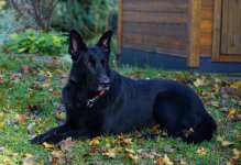 DSC03228-a7r22-L60r-28-c.jpg DSC03228-a7r22-L60r-28-c.jpg