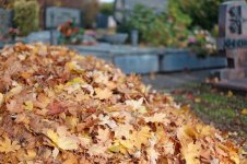 L1007282_DxO-L50c-2.jpg L1007282_DxO-L50c-2.jpg