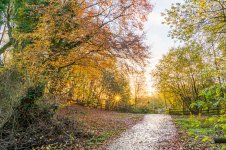 DSC00555-HDR.jpg DSC00555-HDR.jpg