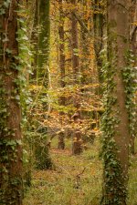 Social Media-1564.jpg