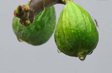 DSC03395-a7r22-L180-4-cc.jpg DSC03395-a7r22-L180-4-cc.jpg