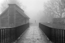 2012BPMXBW25_Adj Lonely in mist.jpg