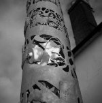 Microflex Test 02.jpg Microflex Test 02.jpg