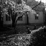 Microflex Test 07.jpg Microflex Test 07.jpg