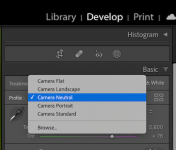 Screen Shot 2021-11-17 at 11.09.16 AM.png