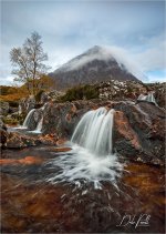 IMGL3967 DPP LR CS6 JP TP.jpg