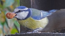 DSC03309-a7r22-L400-c.jpg DSC03309-a7r22-L400-c.jpg