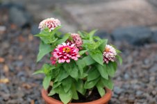 L1025528_DxO-L902-28.jpg L1025528_DxO-L902-28.jpg