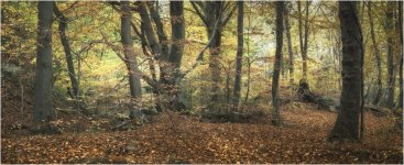 Sunday edit 3000px 1M7A1887 twitter.jpg