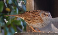 DSC03458-a7r22-L180-56c.jpg DSC03458-a7r22-L180-56c.jpg