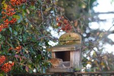 DSC03458-a7r22-L180r-56.jpg DSC03458-a7r22-L180r-56.jpg