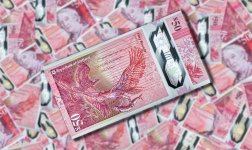 Week 46 - Back of.jpg